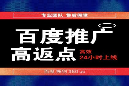 百度推广的投放策略与效果分析